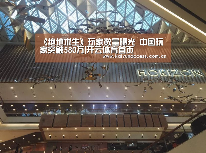KAIYUN入口