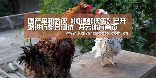 国产单机武侠《河洛群侠传》已开始进行整合测试-开云体育首页(图4) 开云体育