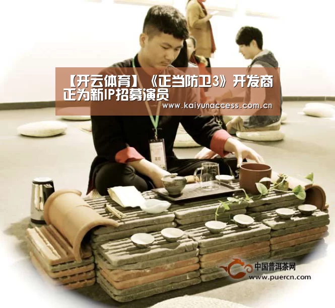 【开云体育】《正当防卫3》开发商正为新IP招募演员(图2) 开云体育