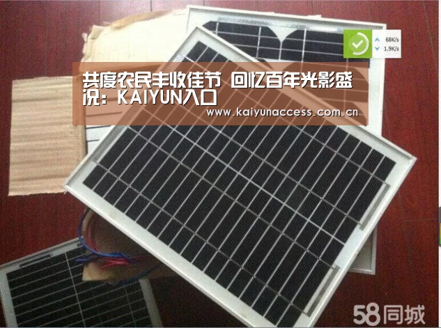 开云体育官方入口