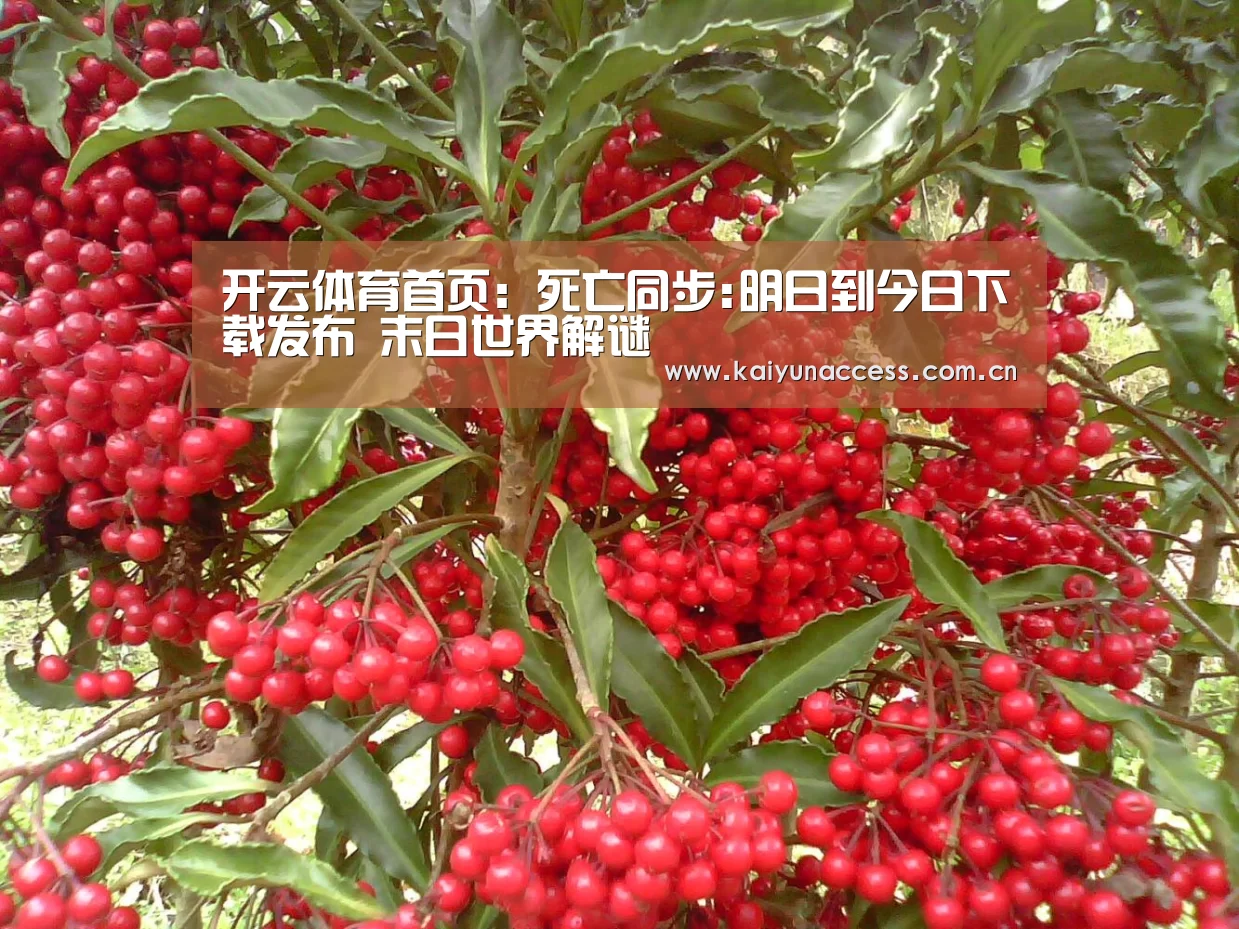 开云体育首页:死亡同步:明日到今日下载发布 末日世界解谜(图2) KAIYUN入口